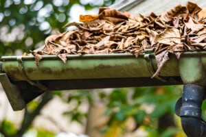 Blocked Drain Pipe on Rooftop