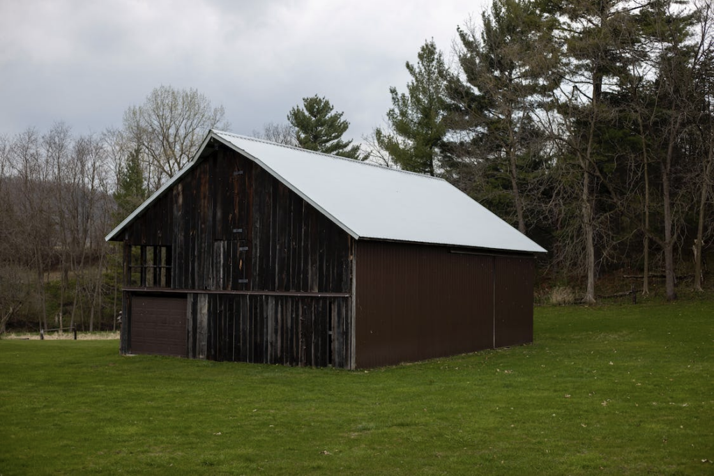 single-ply membrane roof type