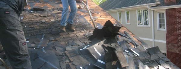 Remove the Old Shingles