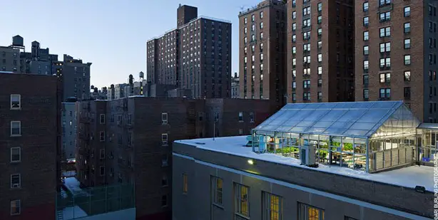 Rooftop Greenhouse - Myrooff.com