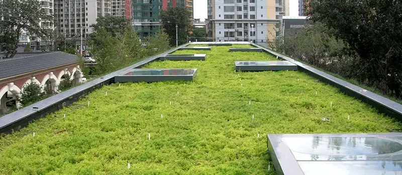 extensivegreenroofs 2