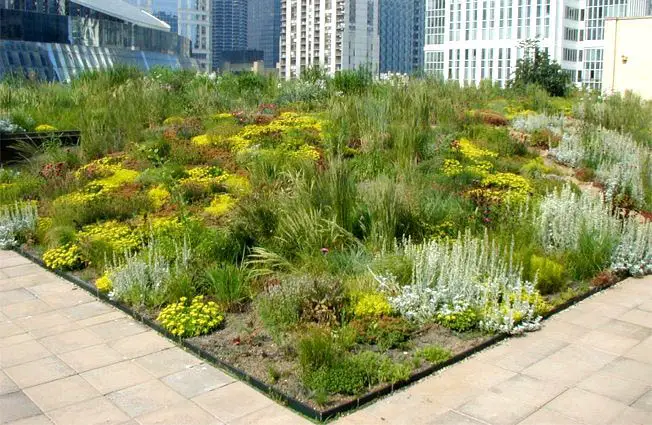 intensive green roofs