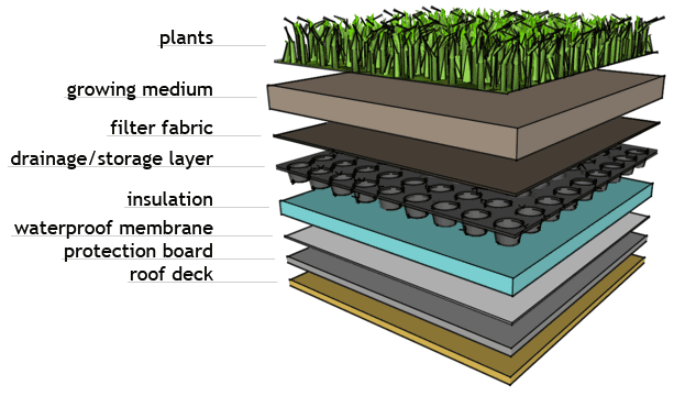 Tp Section 11 Vegetated Green Roof Systems Arca