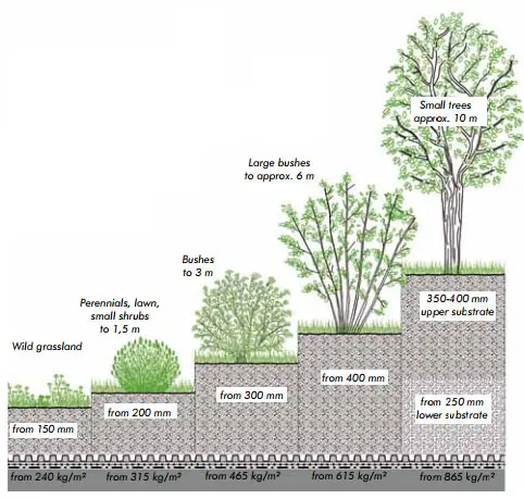 Intensive Green Roof Systems