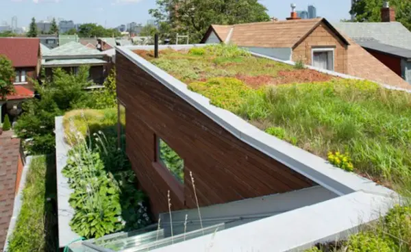 extensive green roofs