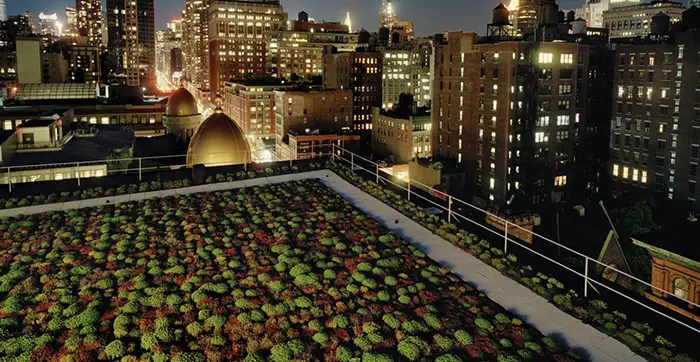 green roof